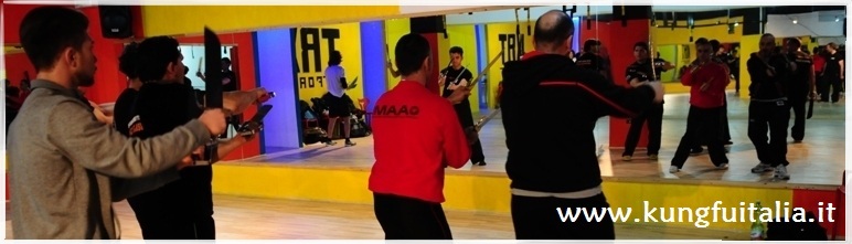 Stage Bart Cham Dao Wing Tjun Chun Tsun Kung Fu Academy Caserta Italia IMAA Sifu di Giorgio Sifu Mezzone Salvatore Scuola arti marziali difesa personale  www.kungfuitalia.it (1)